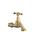Brass Cross - Handle Water Tap (Male Thread, Hexagonal Connection, Matte)